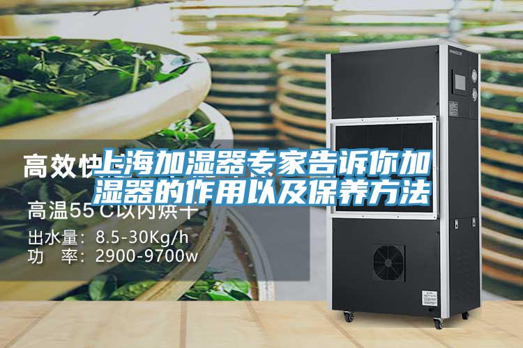 上海加濕器專家告訴你加濕器的作用以及保養方法