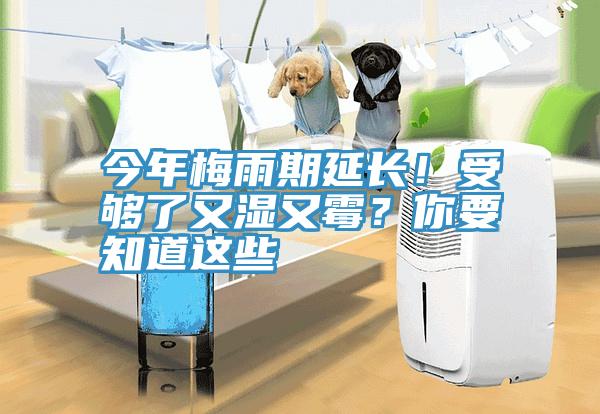 今年梅雨期延長！受夠了又濕又霉？你要知道這些