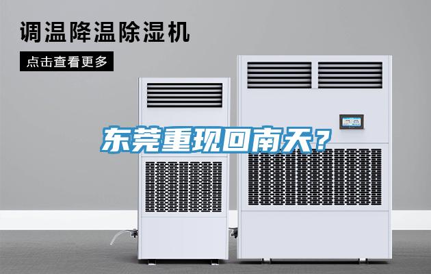 東莞重現回南天？