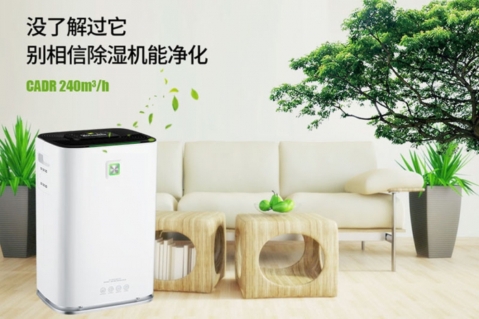 一到回南天狗狗就感冒+皮膚病，怎么辦？