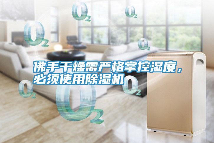 佛手干燥需嚴格掌控濕度，必須使用除濕機