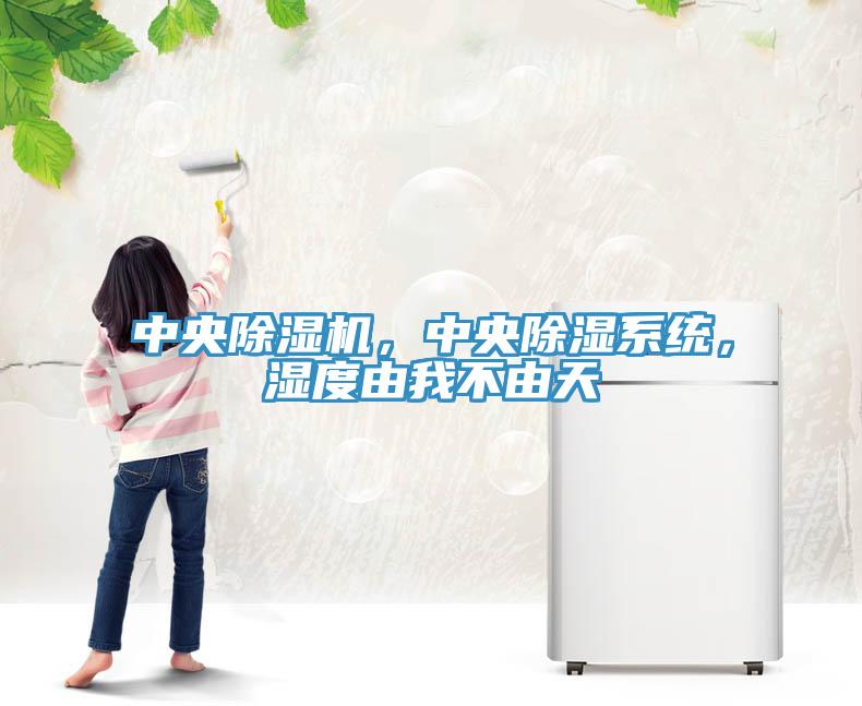 中央除濕機，中央除濕系統，濕度由我不由天