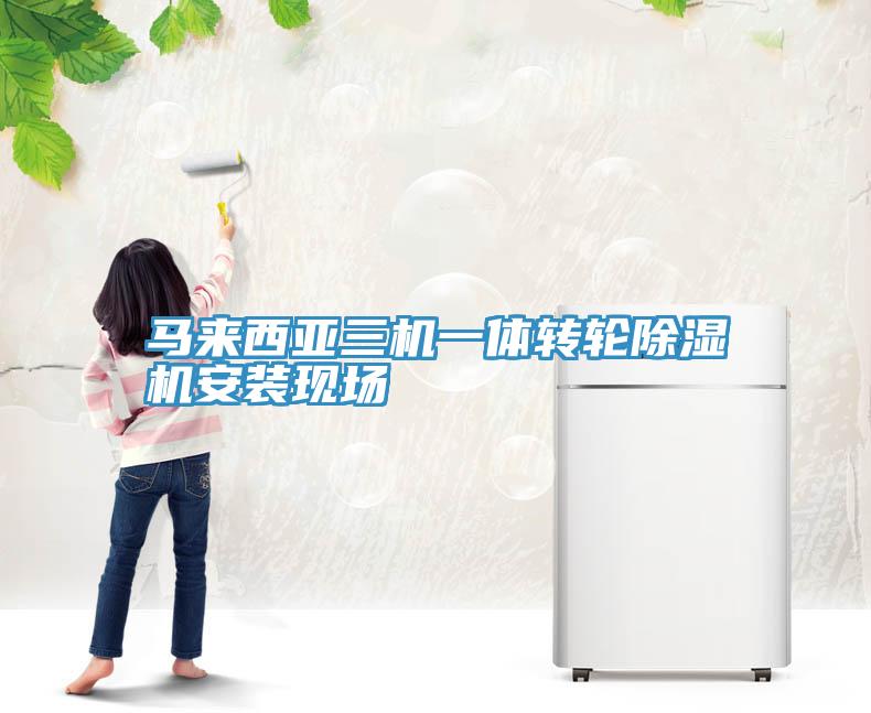 馬來西亞三機一體轉輪除濕機安裝現場