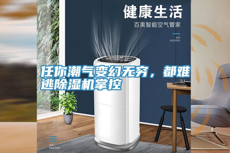 任你潮氣變幻無窮，都難逃除濕機掌控