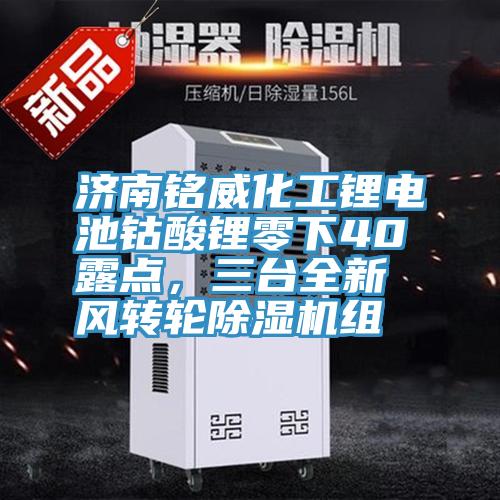 濟南銘威化工鋰電池鈷酸鋰零下40℃露點，三臺全新風轉輪除濕機組