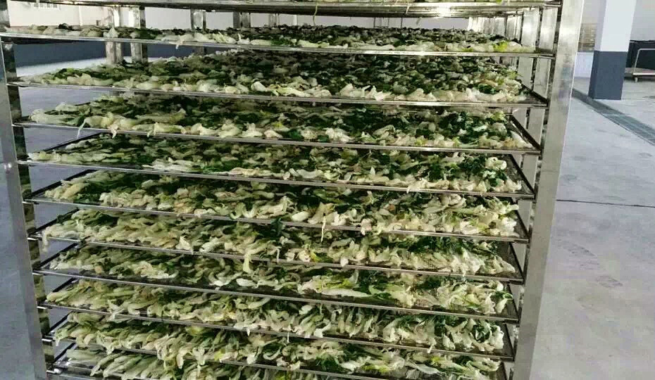 菜干需求一直都很大，蔬菜烘干機很有市場