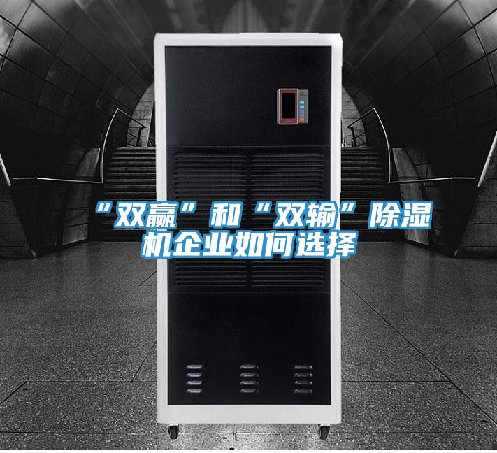 “雙贏”和“雙輸”除濕機企業如何選擇