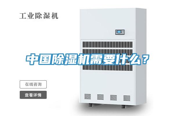 中國除濕機需要什么？