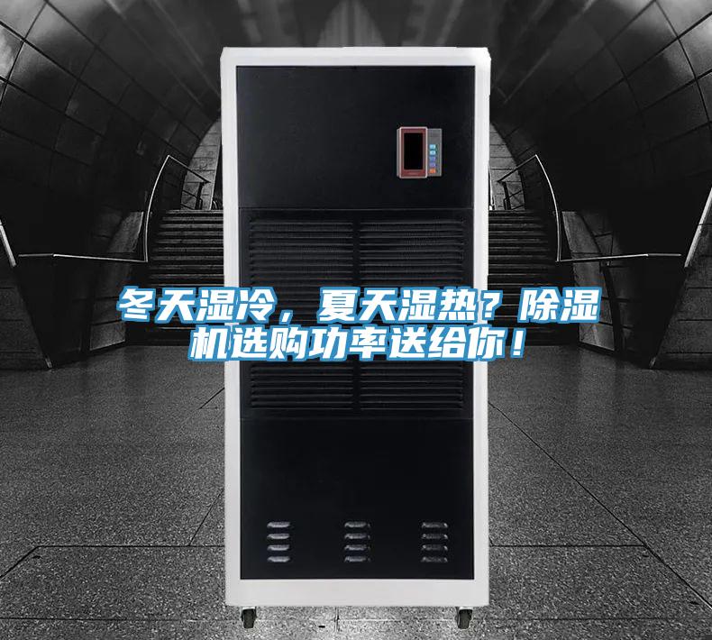 冬天濕冷，夏天濕熱？除濕機選購功率送給你！