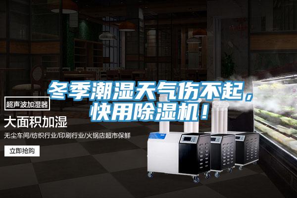 冬季潮濕天氣傷不起，快用除濕機！