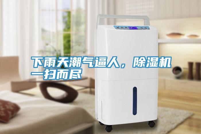 下雨天潮氣逼人，除濕機一掃而盡