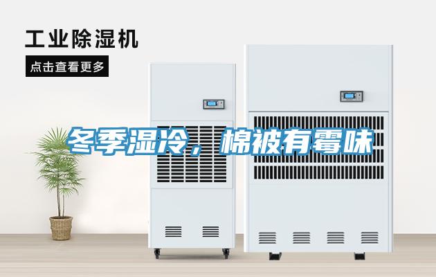 冬季濕冷，棉被有霉味