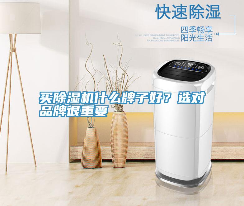 買除濕機什么牌子好？選對品牌很重要