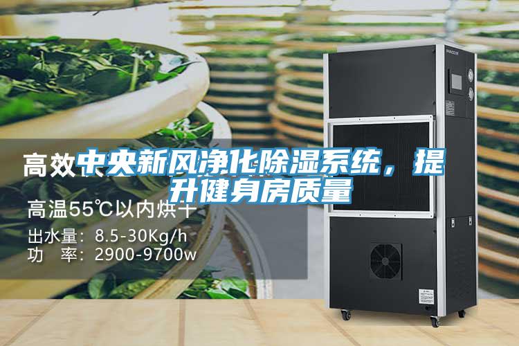 中央新風凈化除濕系統，提升健身房質量