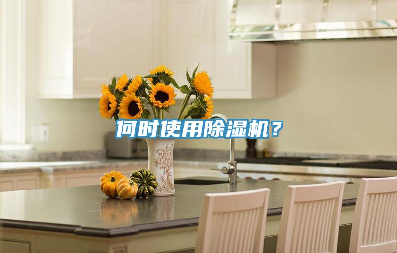何時使用除濕機？