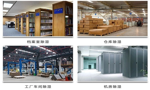 為什么竹筍烘干房需要除濕機？