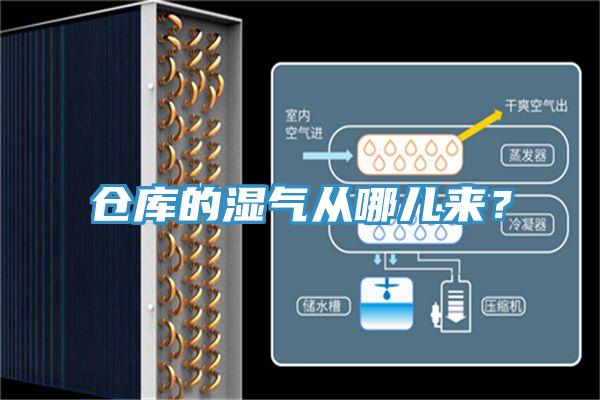 倉庫的濕氣從哪兒來？