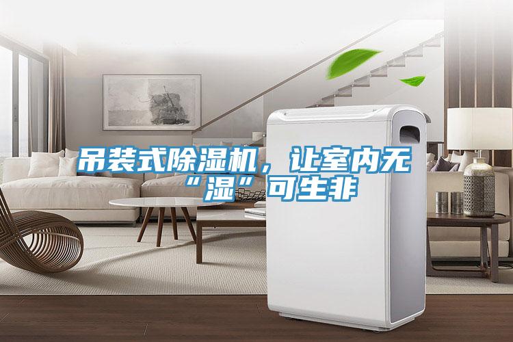 吊裝式除濕機，讓室內無“濕”可生非