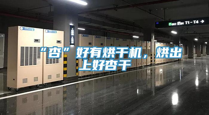 “杏”好有烘干機，烘出上好杏干