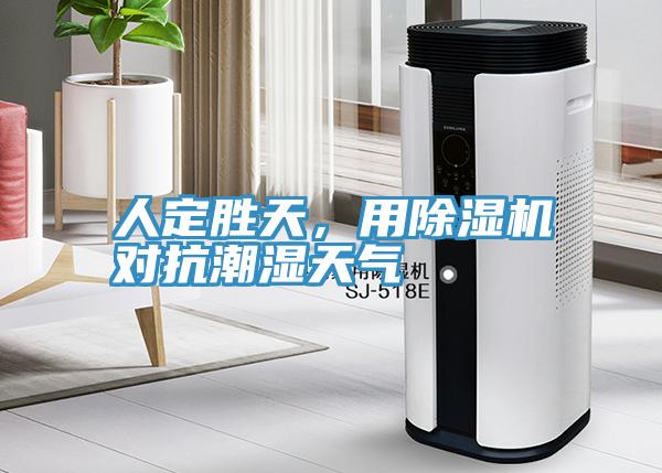 人定勝天，用除濕機對抗潮濕天氣