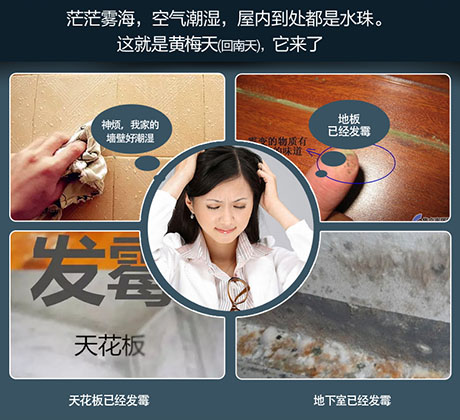 家庭別墅的地下室、衛生間、儲物室等該如何除濕？