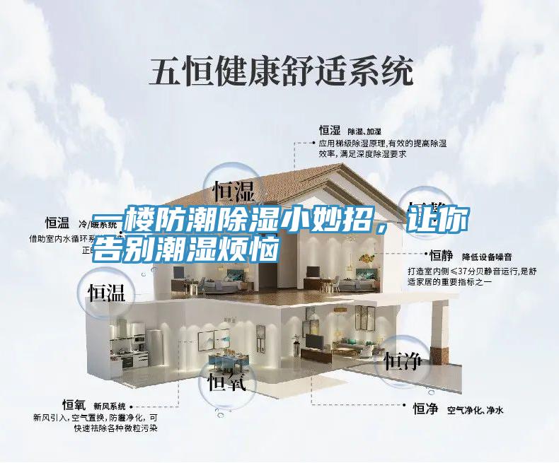 一樓防潮除濕小妙招，讓你告別潮濕煩惱