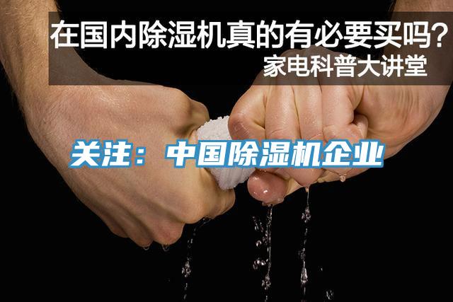 關注：中國除濕機企業