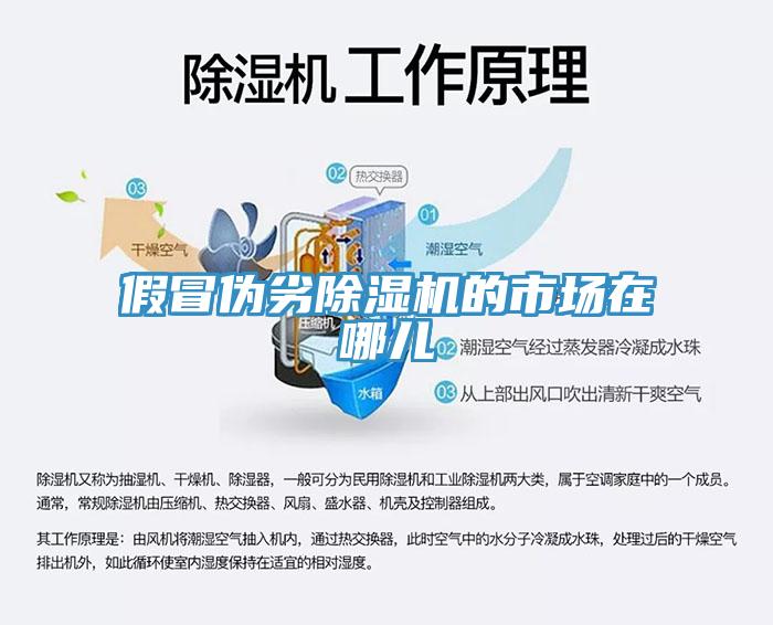 假冒偽劣除濕機的市場在哪兒