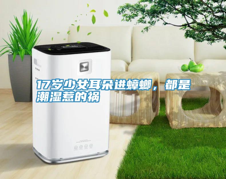 17歲少女耳朵進蟑螂，都是潮濕惹的禍