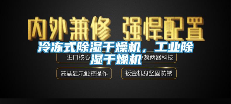 冷凍式除濕干燥機，工業除濕干燥機