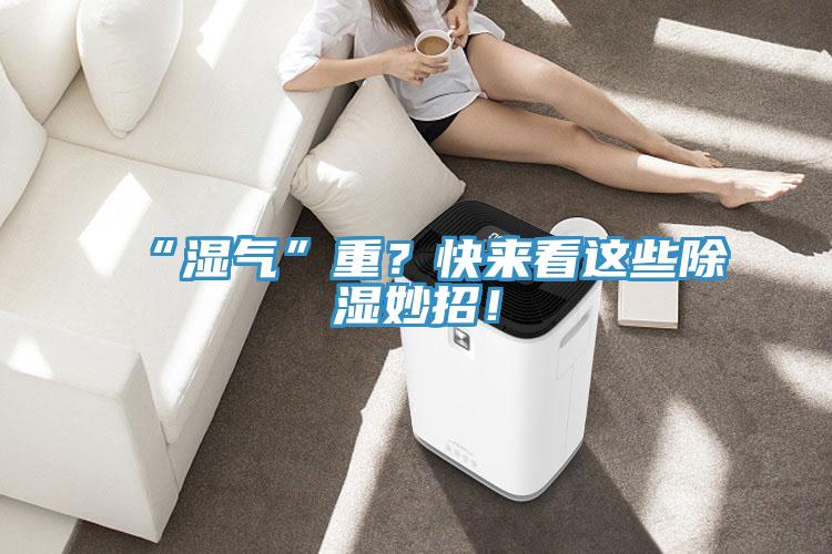 “濕氣”重？快來看這些除濕妙招！