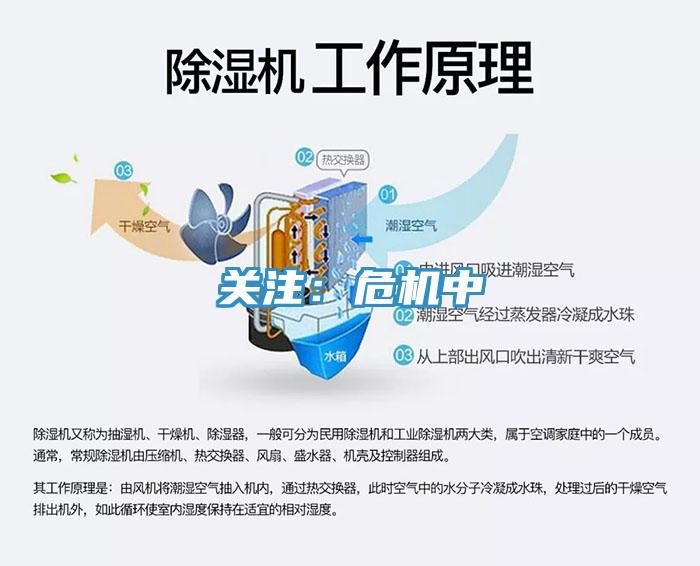關注：危機中