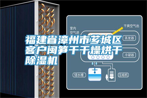 福建省漳州市薌城區客戶閩筍干干燥烘干除濕機