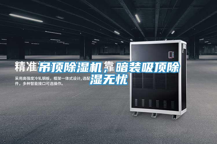 吊頂除濕機，暗裝吸頂除濕無憂