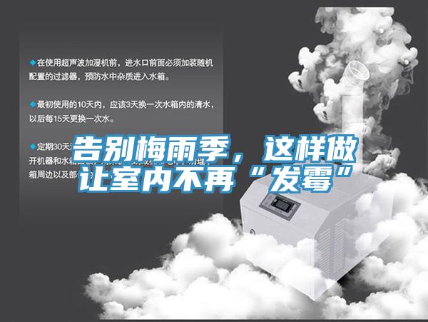 告別梅雨季，這樣做讓室內不再“發霉”