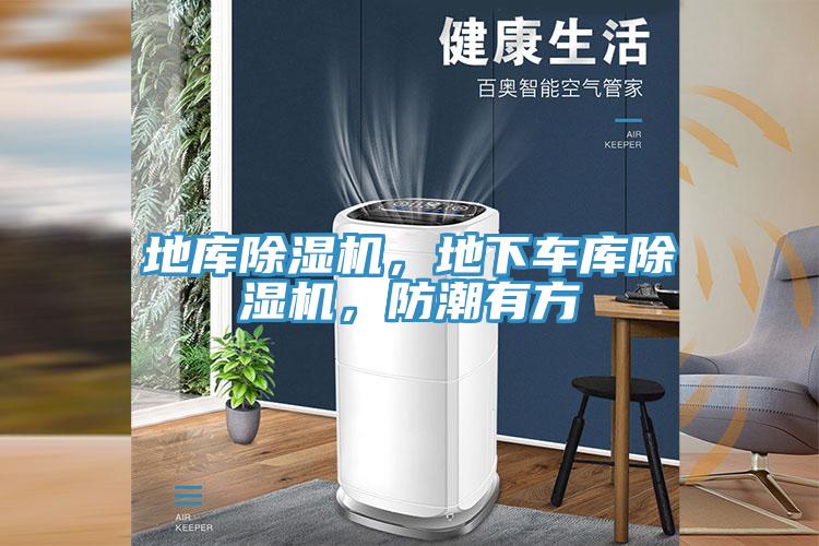 地庫除濕機，地下車庫除濕機，防潮有方
