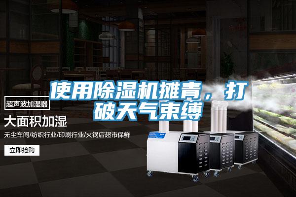 使用除濕機攤青，打破天氣束縛
