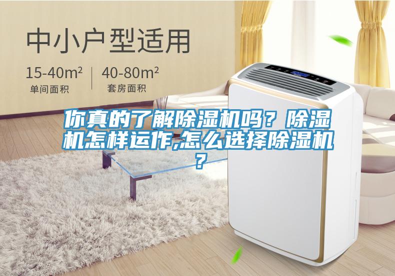 你真的了解除濕機嗎？除濕機怎樣運作,怎么選擇除濕機？
