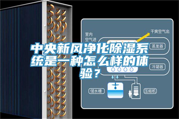 中央新風凈化除濕系統是一種怎么樣的體驗？