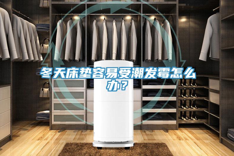 冬天床墊容易受潮發霉怎么辦？