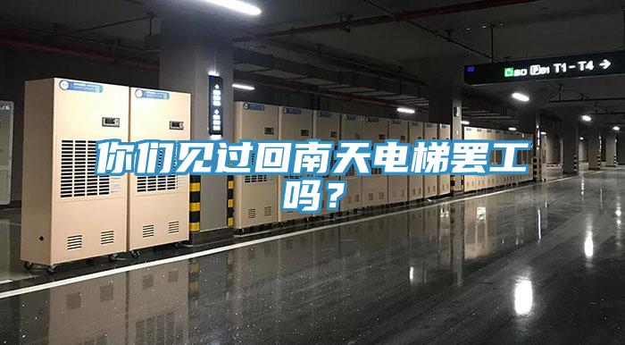 你們見過回南天電梯罷工嗎？