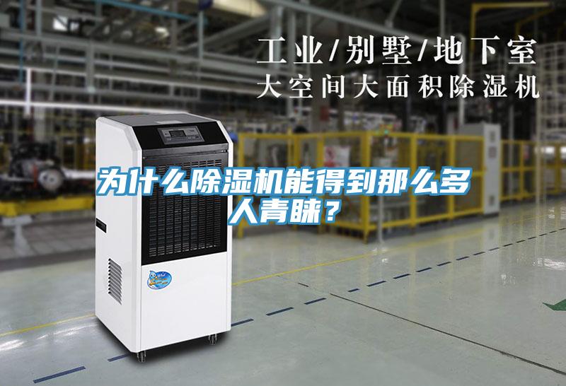 為什么除濕機能得到那么多人青睞？