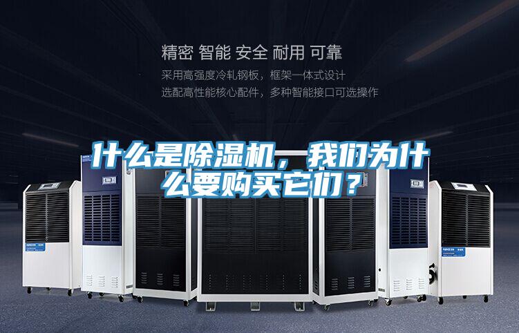 什么是除濕機，我們為什么要購買它們？