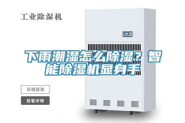 下雨潮濕怎么除濕？智能除濕機顯身手