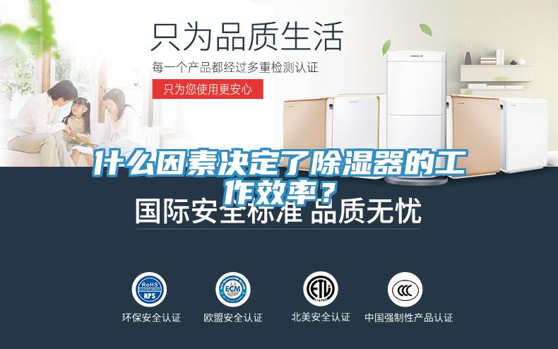 什么因素決定了除濕器的工作效率？