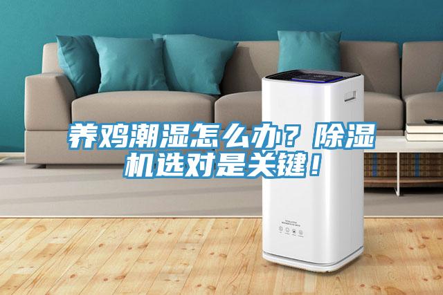 養雞潮濕怎么辦？除濕機選對是關鍵！