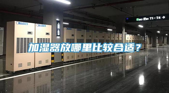 加濕器放哪里比較合適？