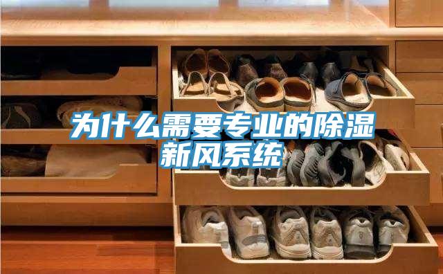 為什么需要專業的除濕新風系統