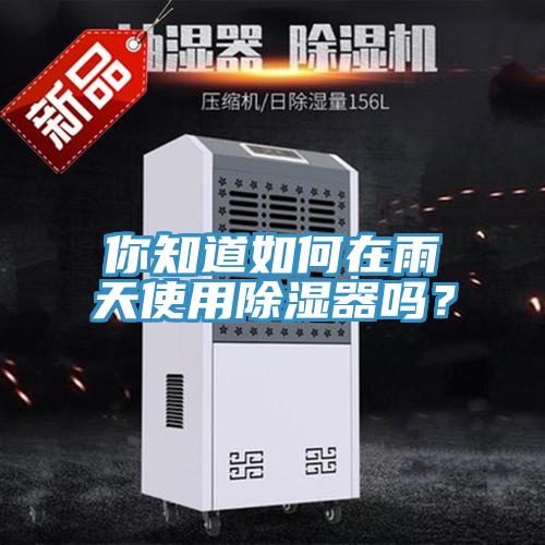 你知道如何在雨天使用除濕器嗎？