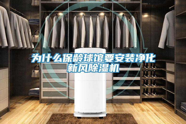 為什么保齡球館要安裝凈化新風除濕機